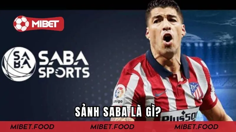 Những thông tin cần biết về sảnh Saba