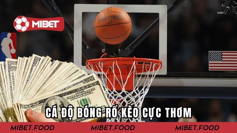 Cá độ bóng rổ kèo cực thơm