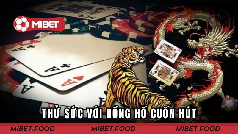 Thử sức với rồng hổ cuốn hút
