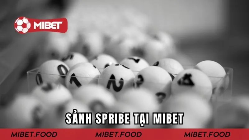 Sảnh Spribe - Nơi Cung Cấp Trò Chơi Chất Lượng Cao Tại MIBET