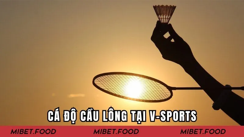 Cá độ cầu lông tại V-Sports