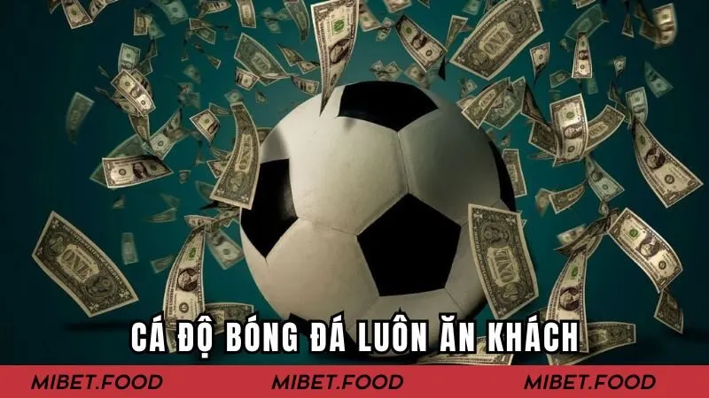 Cá độ bóng đá luôn ăn khách
